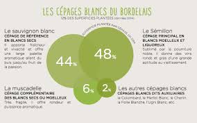 Epingle Par Vinotrip Sur Bordeaux Vin Bordeaux Vins Vignoble Bordelais