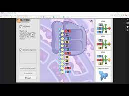 Student exploration rna and protein synthesis answer key. Rna Protein Synthesis Gizmo Activity B Youtube