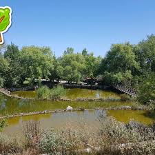 Photos At Eskisehir Kozlu Bahce Kozlu Beldesi Dagkuplu Mahallesi Saricakaya Belediyesi Eskisehir