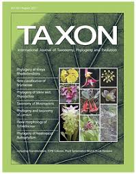 Image result for Ypsilopus