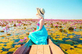 Udon thani is in the northeastern region, the part of thailand that is also commonly referred to as isan. How To See The Red Lotus Lake In Udon Thani Mini Guide Travel On The Brain