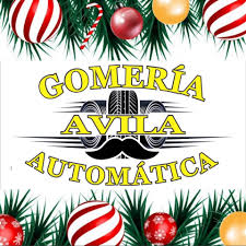 Gomeria Avila