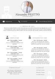 Cv Word Document Format In 2020 Cv Words Curriculum Vitae Examples Standard Resume Format