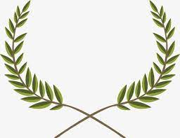 Vektor Olivkovuyu Vetv Ukrasheniya Vektor Olivkovaya Vetv Ukrasheniya Png I Psd Fajl Png Dlya Besplatnoj Zagruzki Branch Decor Olive Branch Branch