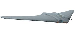 The horten ho 9/ ho 229 retrospective. Horten Ho 229 Downloadfree3d Com