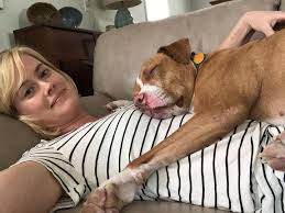 Sad news from New York: Star Abigail Hawk has died in a serious traffic  accident (Full information 👇👇 💬)