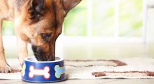 Maybe you would like to learn more about one of these? Diamond Pet Foods Expands Dry Dog Food Recall Food Safety News