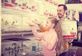 They're born with kids and they interact regularly with them. Best Pet Stores Near Me North Miami Fl Audi North Miami