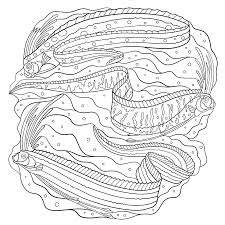 See more ideas about adult coloring pages, coloring pages, free coloring pages. National Geographic Coloring Book On Behance