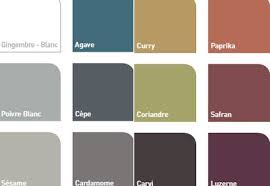 Nuancier 12 Couleurs Peinture Protectactiv V33 Couleur Peinture Nuancier Nuancier Peinture