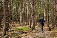 Ontario Summit Trail Races