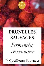 Pickles De Prunelles Sauvages Fermentees