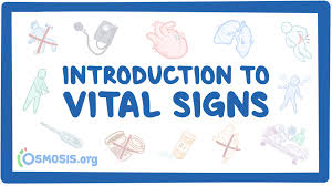 Image result for Vital Sign