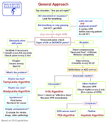 49 prototypic cardiac arrest flowchart