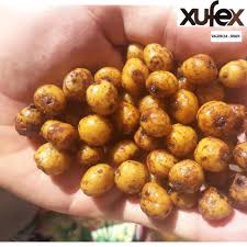 Тигровий горіх Xufex Standart (8-12мм) 1кг - CarpDream | Магазин брендової  продукції для лову коропа