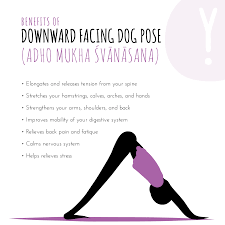Pin On Yogi Benefits