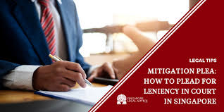 While a letter the length of war and peace might win a provide good examples of things that the defendant has done for you or for others that you have witnessed or know about. Mitigation Plea How To Plead For Leniency In Court In Singapore Singaporelegaladvice Com