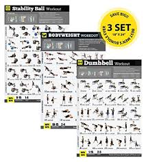Gym Home Exercise Posters Set Of 3 Workout Chart Now Laminated Workout Plans For Men Strength Training Workout Build Muscles Lose Body Fat