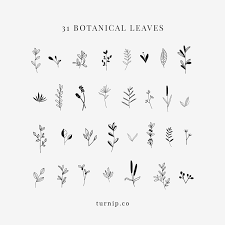 Clipart Floral Leaf Clipart Botanical Black And White Clip Etsy Leaf Clipart How To Draw Hands Clip Art