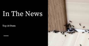 There are people with allergies to bees so severe that they could die from a simple bee sting. Top 10 Pests Pest Control Products
