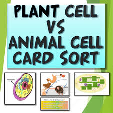 Life cycles of plants and animals quiz. Ms Ls1 3 Plant Animal Cell Card Sort Humans And Cells As Systems Close Reading