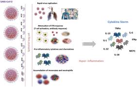 Phase 3 is supposed to be what phase 1 and 2 built up to so it wouldn't be surprising if it has the best movies. Perspective On Therapeutic And Diagnostic Potential Of Camel Nanobodies For Coronavirus Disease 19 Covid 19 Springerlink