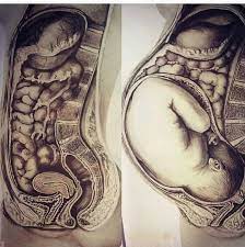 Verlust der kontrolle über die blase folgen. Anatomie Ist Halt So Eine Tolle Zeichnung Wie Sich Die Anordnung Der Inneren Organe Verandert Wenn Man Schwanger Ist Facebook