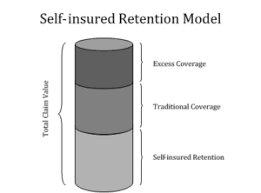 Check spelling or type a new query. Self Insured Risks Captive Insurance 101