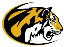 Hinsdale South Girls Varsity Volleyball @ Elmwood Park