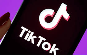We do not host any content on our servers, all videos, photos and previews hosted only on tiktok servers and all rights reserved by their respective owners. Urlebird Not Working
