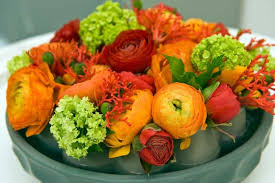 Image result for Ranunculus raeae