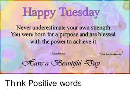 Have a beautiful day take time to enjoy the wonder and beauty of each moment. 117 Funny Tuesday Memes Best Sarcastic Tuesday Quotes Images Dreams Quote
