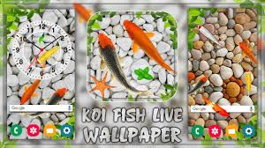 Horizontal orientation is fully supported for all hd wallpapers. Fish Live Wallpaper 2021 Aquarium Koi Background For Android Apk Download