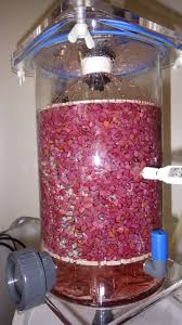 How To Make Wine Vinegar Fermenting Vinegar At Home