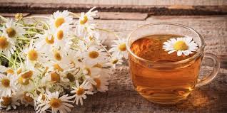 Bagi anda pecinta teh pasti sudah pernah mendengar jenis teh chamomile. 7 Manfaat Teh Chamomile Bagi Kesehatan Tubuh Bantu Tidur Lebih Pulas Merdeka Com