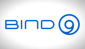 Setting Up a local DNS server