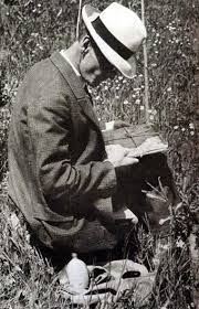 Cunku Para Ve Guc Guvensizlikten Dogmus Nesnelerdir Her Kim Kendi Icindeki Yasam Gucune Guven Duymaz Her Kimde Bu Guc Literatur Personlichkeiten Hermann Hesse