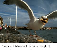 See what allie seagle (aseagle) found on pinterest, the home of the world's best ideas. 25 Best Memes About Images Of Nemo Images Of Nemo Memes