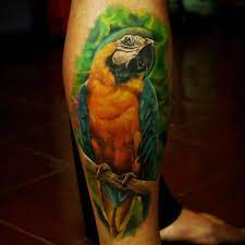 Want to see the world's best parrot tattoo ideas? 42 Parrot Tattoos With Exotic And Symbolic Meanings Tattooswin