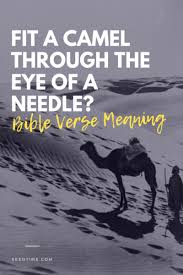 So the camel could go through the eye of the needle. Can A Camel Fit Through The Eye Of A Needle