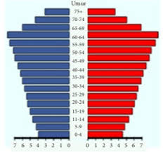 Apa Yang Dimaksud Dengan Piramida Penduduk Tua Jelaskan Dan Berikan Contohnya Brainly Co Id