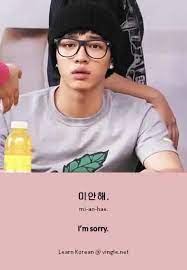 Sorry is one of the first words that language learners come across when starting out. I M Sorry In Korean Korean Language Korean Words Korean Language Learning
