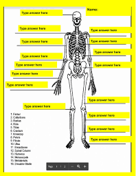 Skeletal System Online Activity For 7