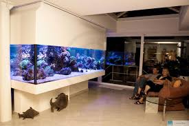 10145 Jpg Jpeg Grafik 1024 681 Pixel Aquarium Flat Screen Grafik