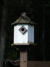 How To Build A Simple Dovecote Style Birdhouse Bird Houses Bird Houses Diy Bird House Kits