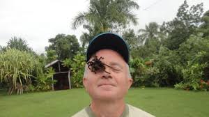 We would like to show you a description here but the site won't allow us. Selva De La Republica Dominicana Picture Of Dominican Republic Caribbean Tripadvisor