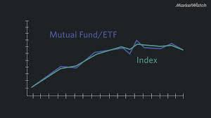 Muni0 streams live on twitch! What Is An Index Fund Explainomics Marketwatch