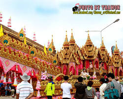 รูปภาพงานประเพณีบุญบั้งไฟ จ.เลย