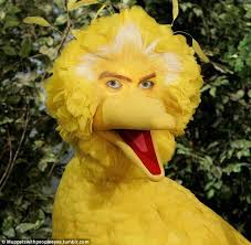 Creepy Bird With Big Eyes Why The Creepy Stare Big Bird Blog Reveals The Disturbing Results When Muppets Are Given Human Eyes Big Bird Sesame Street The Muppet Show