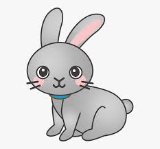 Rabbit Bunny Animal Cute Gray Bunny Drawing Easy Hd Png Download Transparent Png Image Pngitem Drawing tutorial,art tutorial esvid video. rabbit bunny animal cute gray